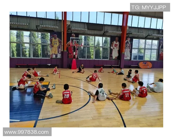 沈梓捷的成长之路与篮球梦想的追逐历程探讨