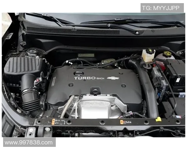 澳门战狼与香港东方激战正酣谁能在这场对决中笑到最后