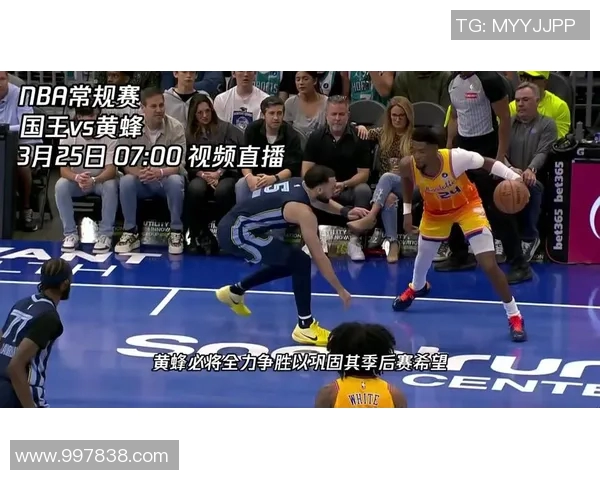 黄蜂与国王精彩对决视频直播全程回顾与分析